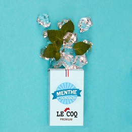 Menthe glaciale